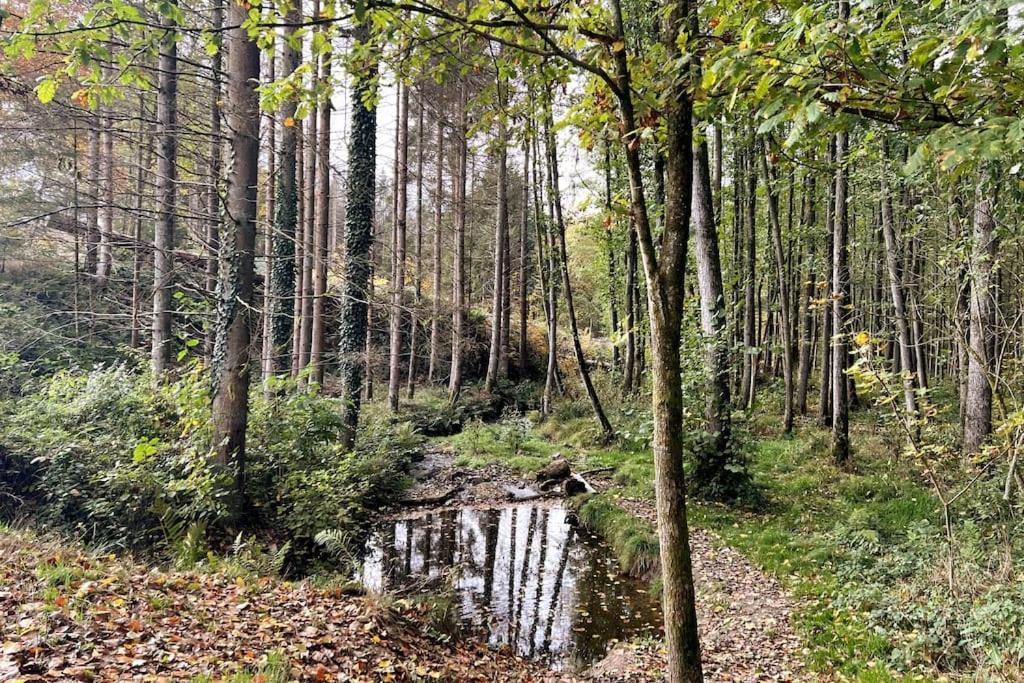 Forest Retreat- Serene 160M2 With Forest Views Wermelskirchen Kültér fotó